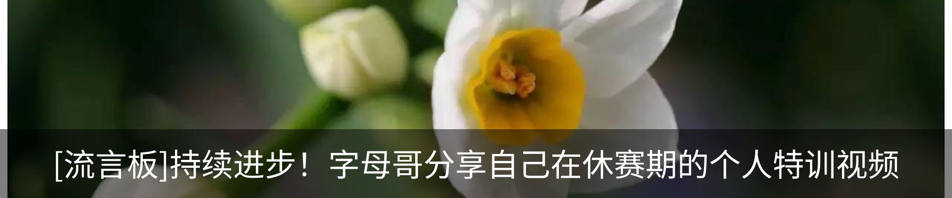 最新动态